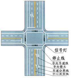 信号灯路口的停止线